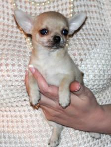 �������� �� ��������� ��������� ������