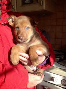 ����� � ���