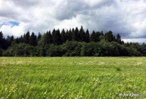 ������� ��������� �������� � ������������ ������ ������� ���������� �