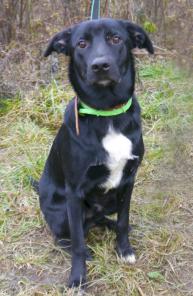 �������- ���������, ����������, �������� ���� �������