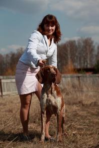 ����� ������ �������� (������-����������)