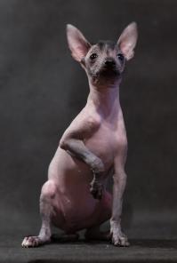 �������������� ����� ������������ ����� ������