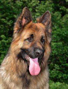 ������ �������� ������� ��� �����.