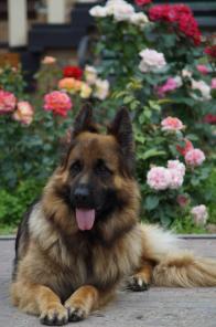 ������ �������� ������� ��� �����.