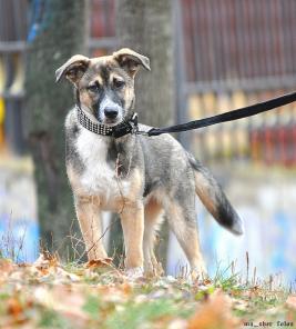 ������ � ����� ������ ���� � �������