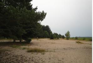 Участок 7.5 га (ИЖС)