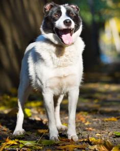 ���� � ��������� ����, � ���!