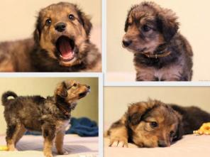 �������� ��������� �����, �������, � ���.