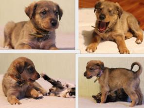 �������� ��������� �����, �������, � ���.