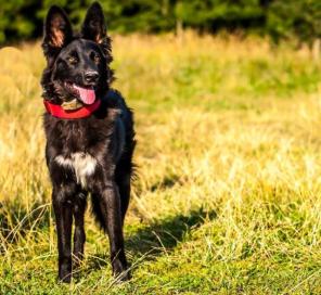 ������� ������� � ���!!