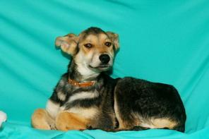 ������ � ����� 3,5  ���. � ���!