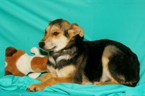 ������ � ����� 3,5  ���. � ���!