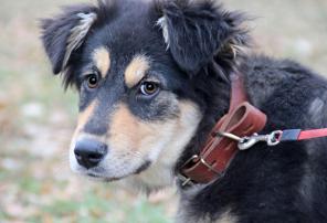 ���������� �����, ��������, ��������� �������� ����� � ������ ����