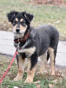 ���������� �����, ��������, ��������� �������� ����� � ������ ����