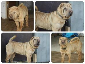 ������ � ��! ������ ����� ���!