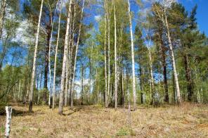 ������a �������o�o y��c���