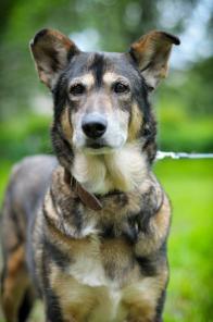 ������������� ������ ������ ������ ������ ����� �����! (���)