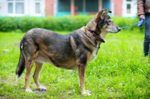 ������������� ������ ������ ������ ������ ����� �����! (���)