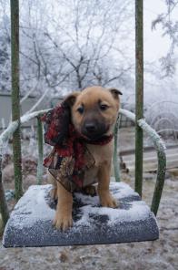 ����� �������� � ������������� ����