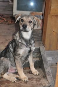 �����  ���� ���