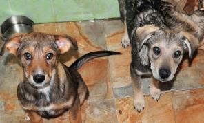 �����  ���� ���