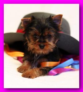 ����������� ������