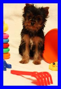 ����������� ������