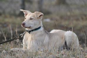 ������ 6 ���. � ���!