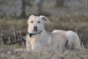 ������ 6 ���. � ���!