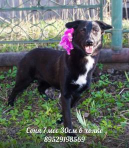 ��������� �������