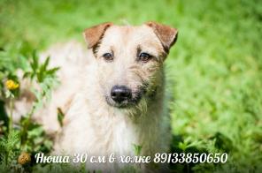 ��������� �������