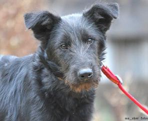 ��� ������ ���� � ������ ������! �����, ����� �������������, � ���.