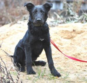 ��� ������ ���� � ������ ������! �����, ����� �������������, � ���.