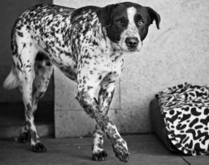 ����������� �������� �����, ����� ��������� � ���.