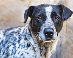 ����������� �������� �����, ����� ��������� � ���.