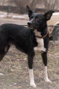 ����� ����������� � ��������������� ���