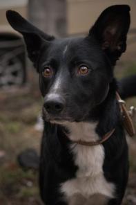 ����� ����������� � ��������������� ���