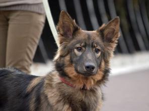 ��������� ����, ����� ���, ������� ��������������� ������� � ������ ����