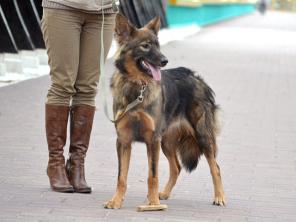 ��������� ����, ����� ���, ������� ��������������� ������� � ������ ����