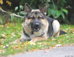 ���������-�������� ������� ������� �� ����� ������