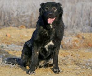 �������� ������ - ������ �����!! ������ �� � ���!!