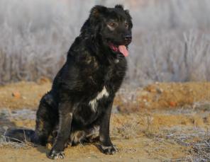 �������� ������ - ������ �����!! ������ �� � ���!!