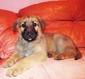 ����� � ��� �����, ������ �������� �������.