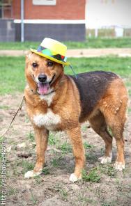 ��� ����������� ������� ����� ����.