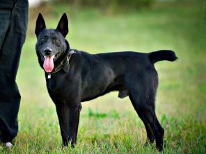 ������, ��������� ������� ��� � ������� �������� � ������ ����