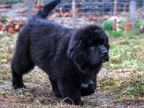 ����� ������������� - ������ ���� ��� ���!