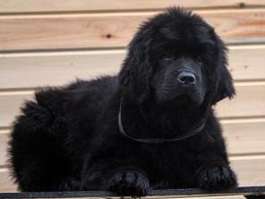 ����� ������������� - ������ ���� ��� ���!