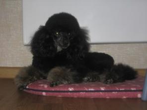 ������ ��������� ������- ������ 2014 -������, ���