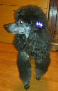 ������ ��������� ������- ������ 2014 -������, ���