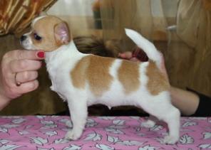 �������� ������� �������� ��� ��������� ������.